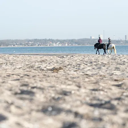 Wohnpark Am Muehlenteich - 30 *