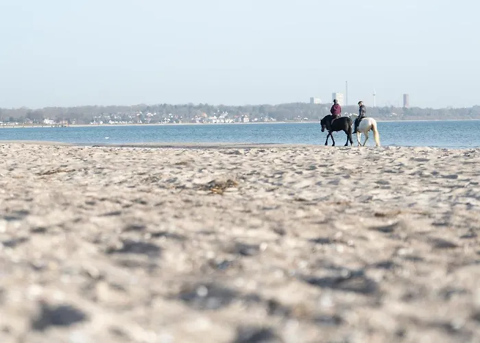 Wohnpark Am Mühlenteich - 30 *